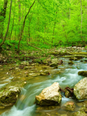 “Afternoon, 1988”