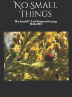 No Small Things: The Beautiful Stuff Poetry Anthology 2019-2020 Ft. “Intermission”