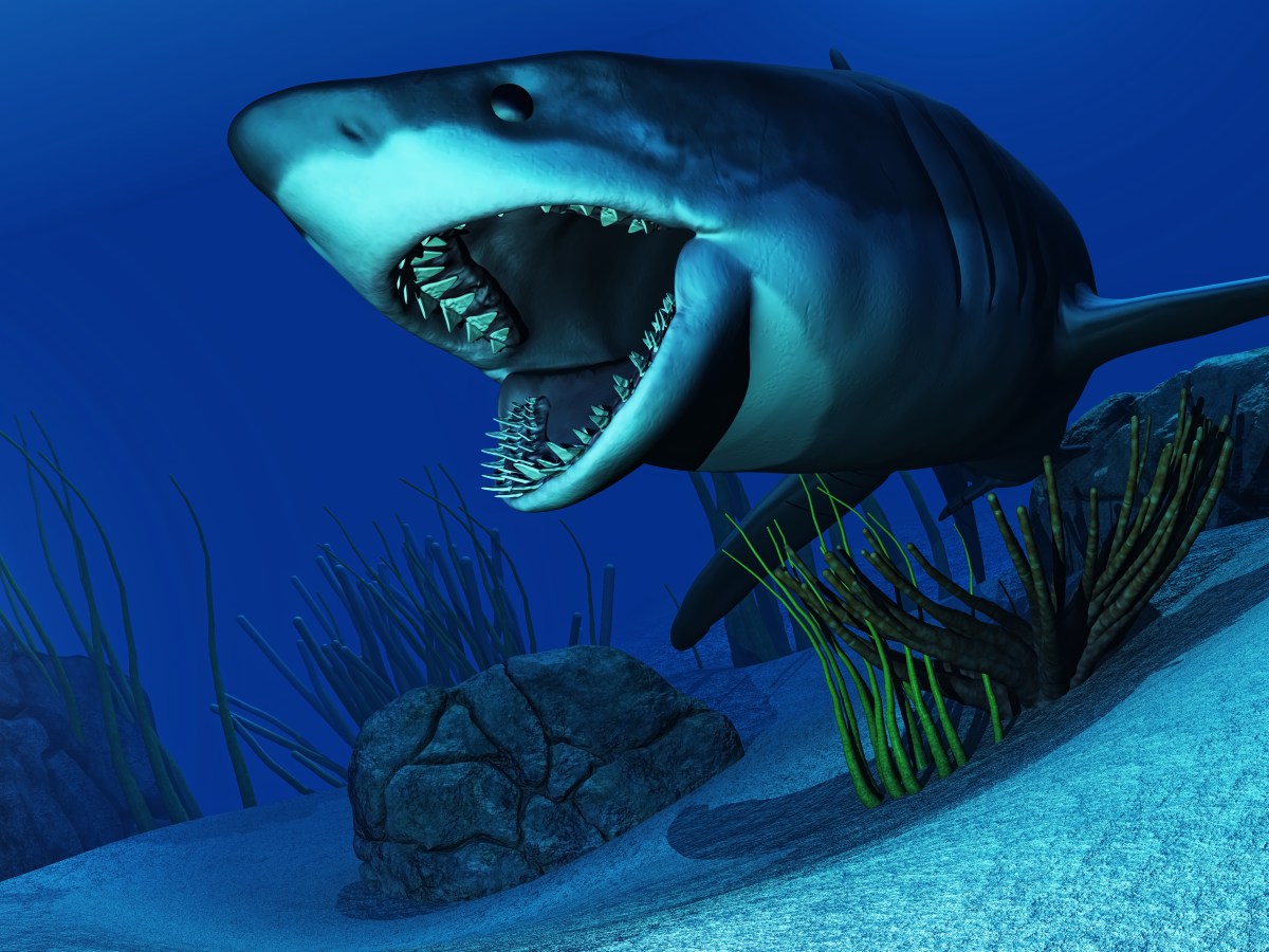 OMG I’m Writing a&nbsp;Novel