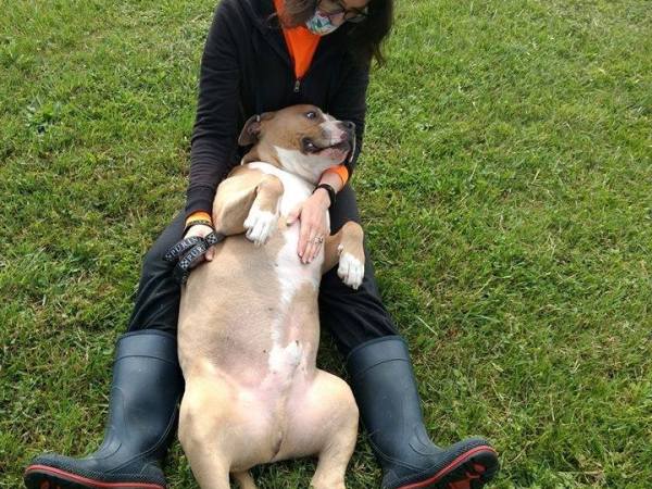 Why no author&nbsp;account?