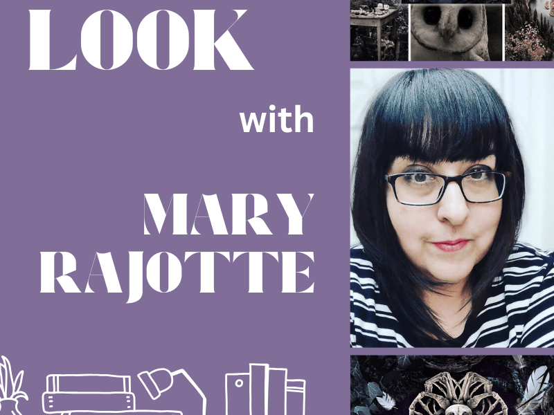 FIRST BOOK LOOK: Mary Rajotte’s THE BONE&nbsp;KEY
